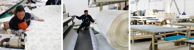 葡萄京官网
床垫生产过程特写2